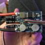 unadjustednonraw_thumb_1f5e.jpg